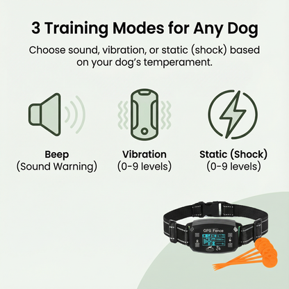 Lavaro™ GPS Wireless Dog Fence
